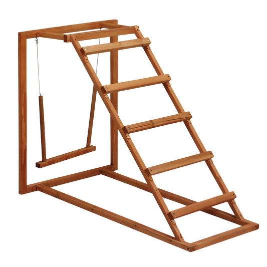 Gaun Chicken Activity Center