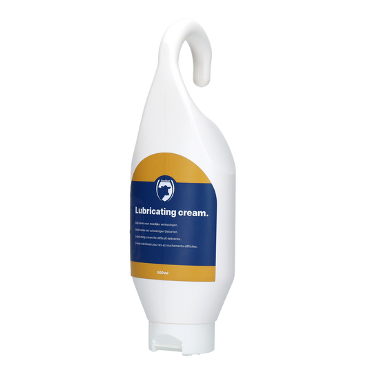 Excellent Lubricating Cream (Gleitcreme) Steh-/Hängeflasche 500 ml