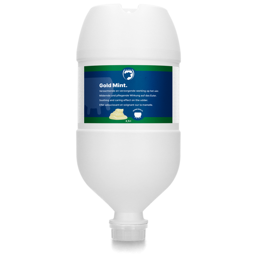 Excellent Gold Mint Hängetube 2,5 l