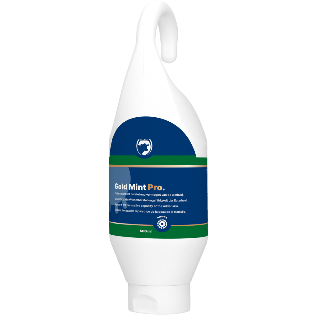 Excellent Gold Mint Pro Steh- und Hängeflasche 500 ml