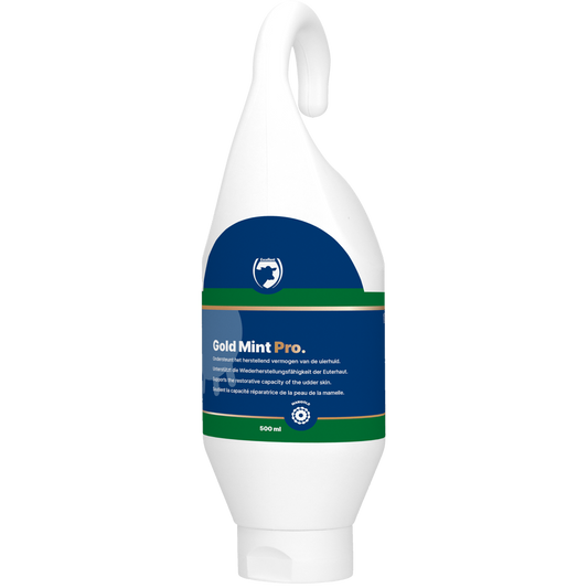 Excellent Gold Mint Pro Steh- und Hängeflasche 500 ml