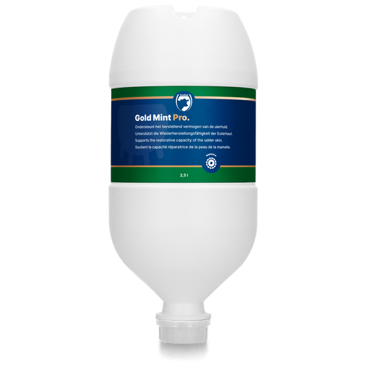 Excellent Gold Mint Pro Hängetube 2,5 l