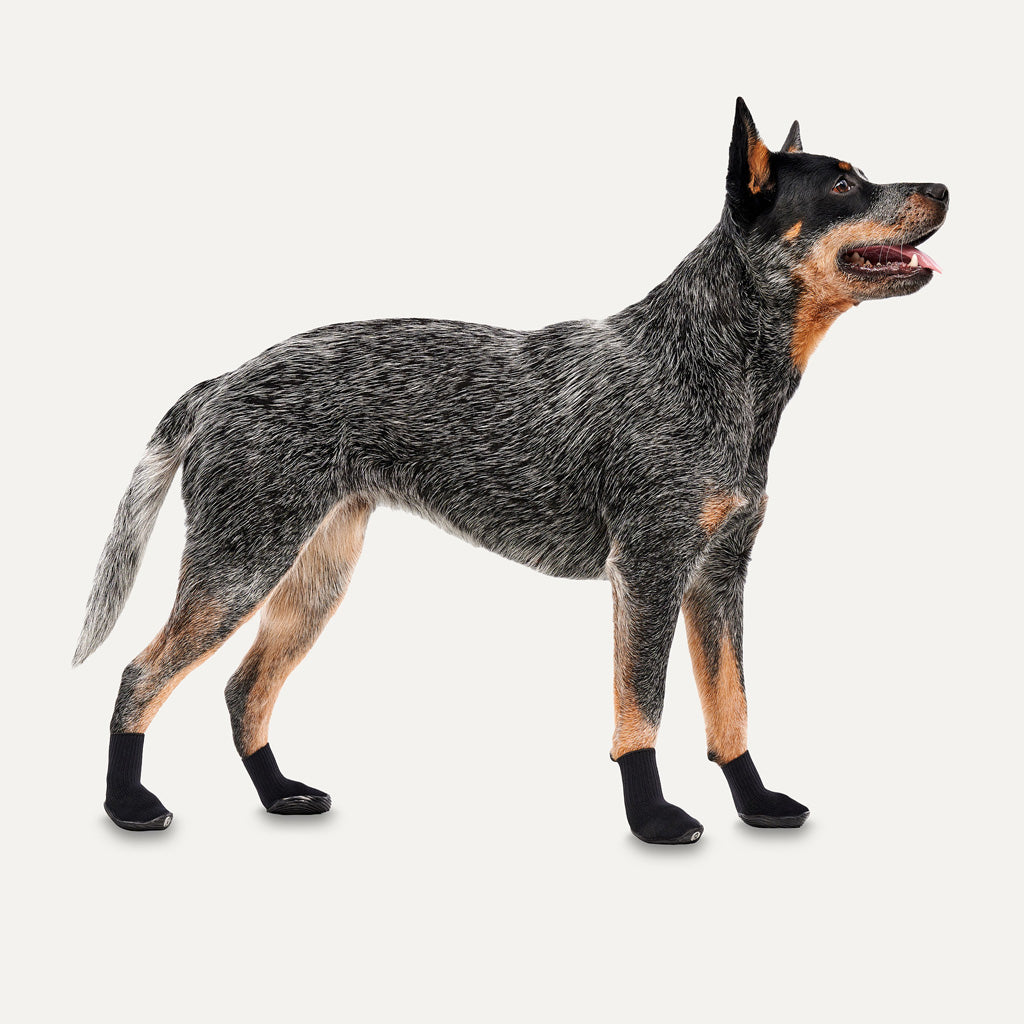 Goo-eez Dog Boots Lites 4 Per Pack L Schwarz by Hoffreund