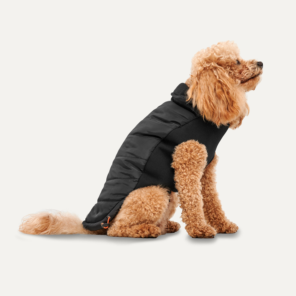 Goo-eez Mock Neck Signature Wrap Jacket M Schwarz