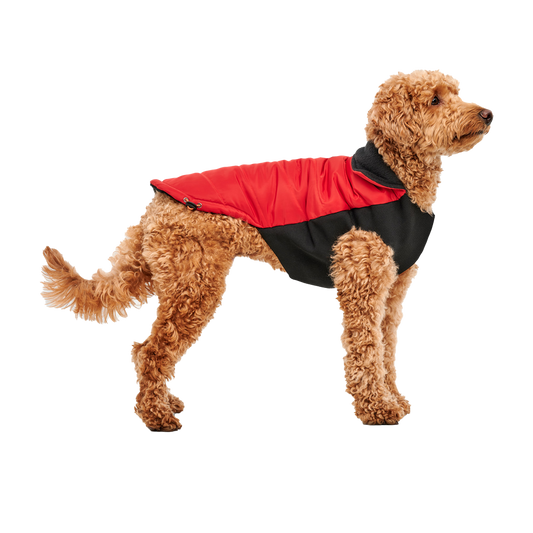 Goo-eez Mock Neck Signature Wrap Jacket XS Rot/Schwarz