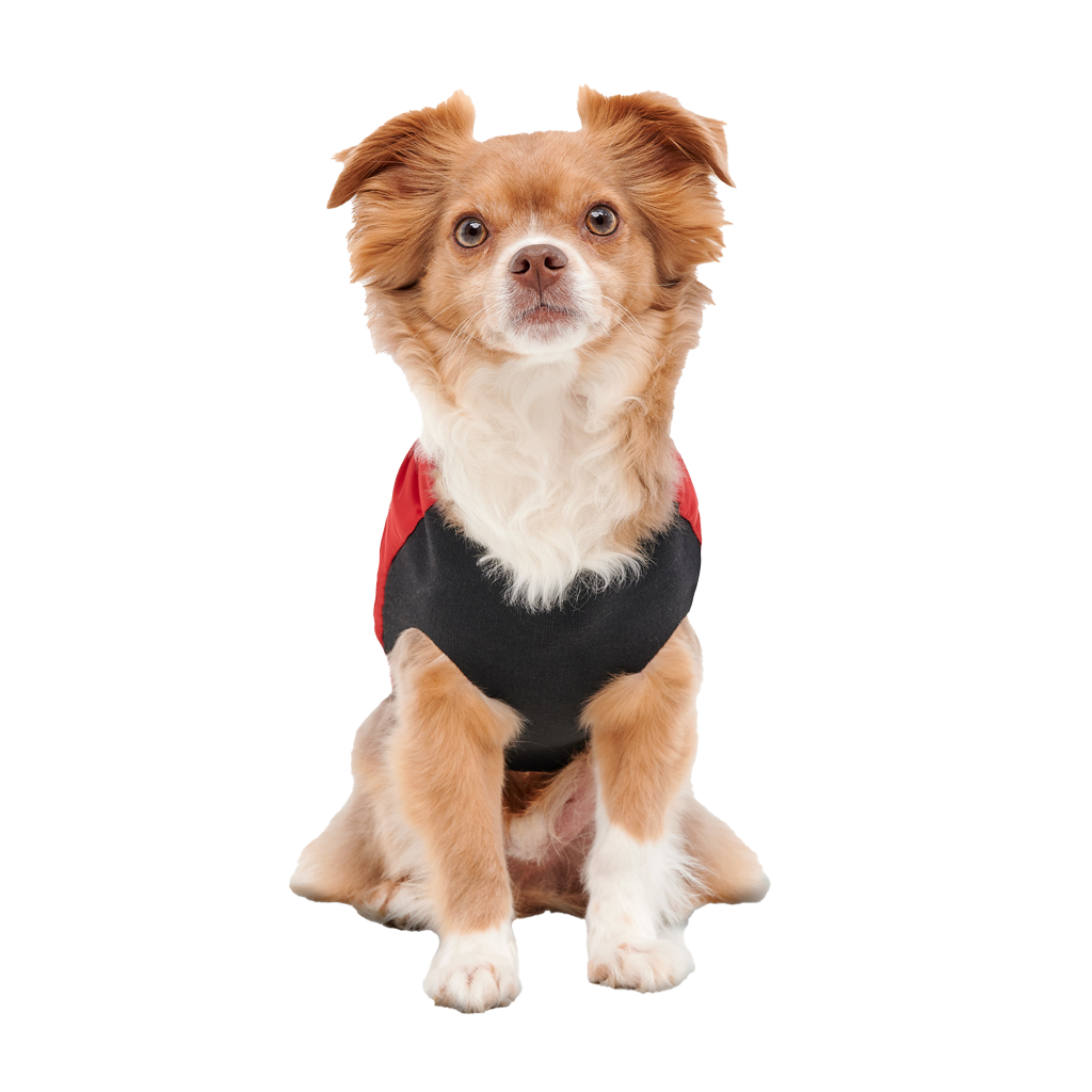 Goo-eez Mock Neck Signature Wrap Jacket XS Rot/Schwarz