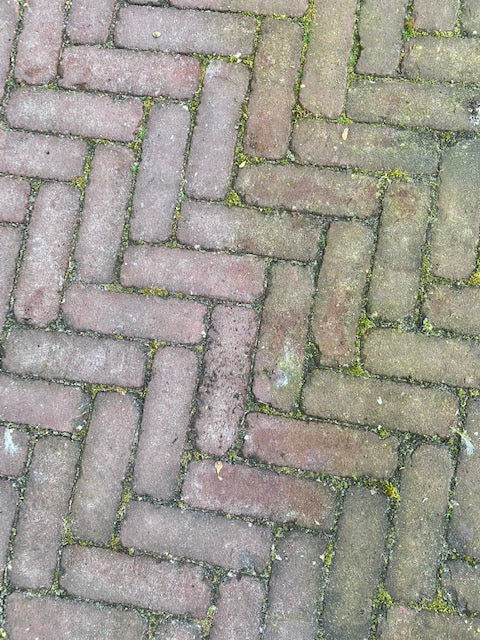 Excellent Green Clear Konzentrat 5 l