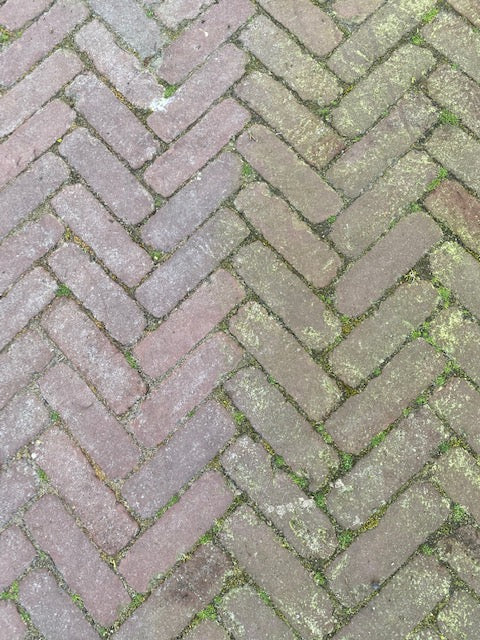 Excellent Green Clear Konzentrat 5 l