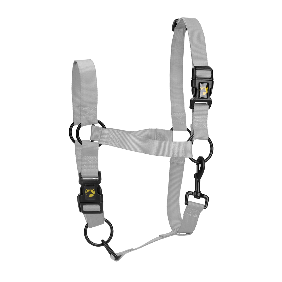 Excellent Essential Halfter Grau XS