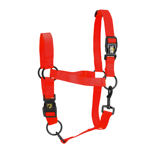 Excellent Essential Halfter Rot L