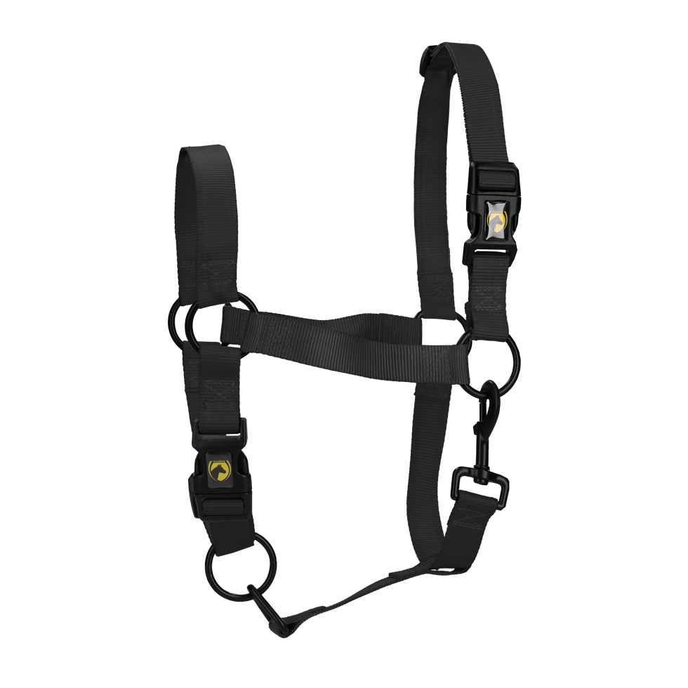 Excellent Essential Halfter Schwarz XL