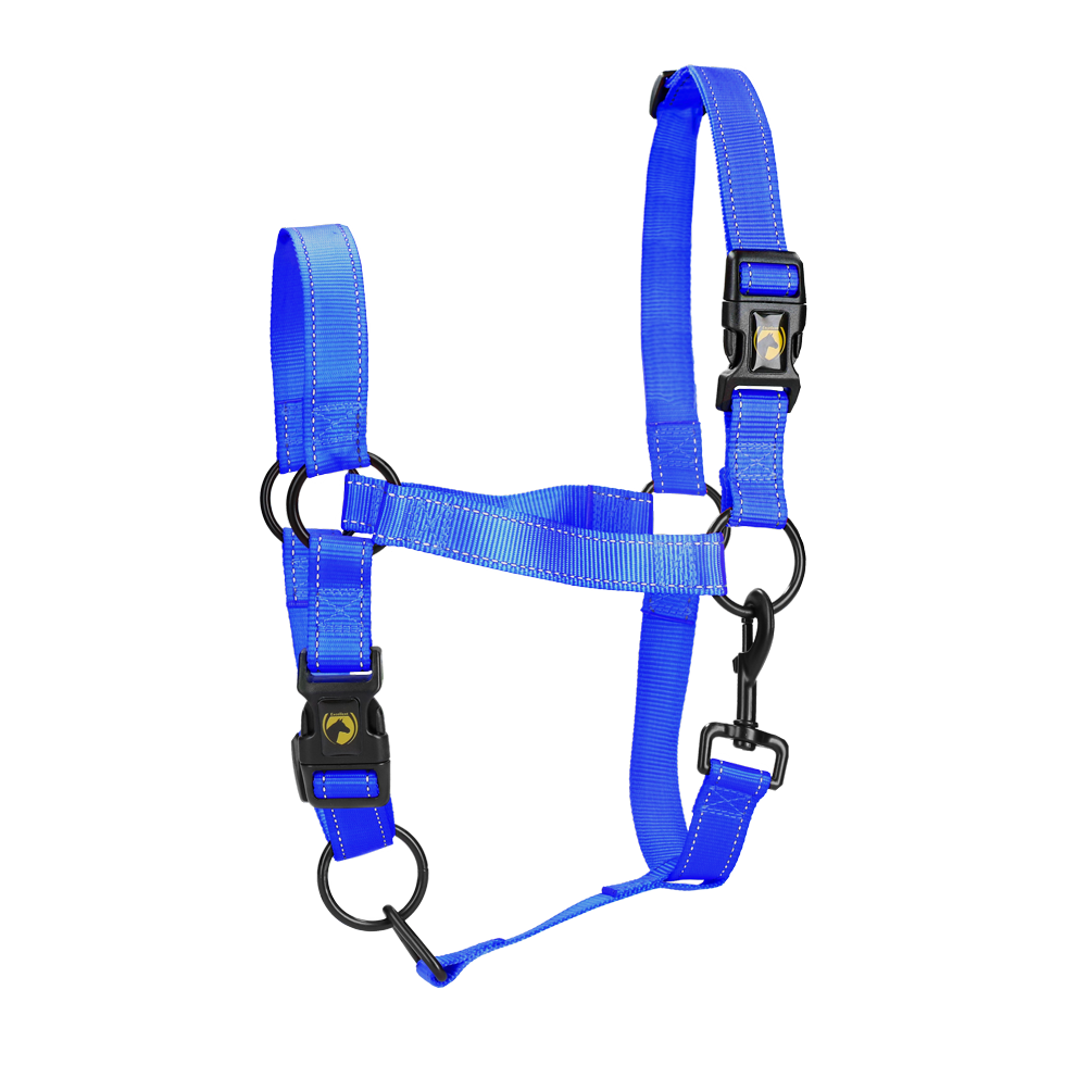 Excellent Premium Halfter Blau XS