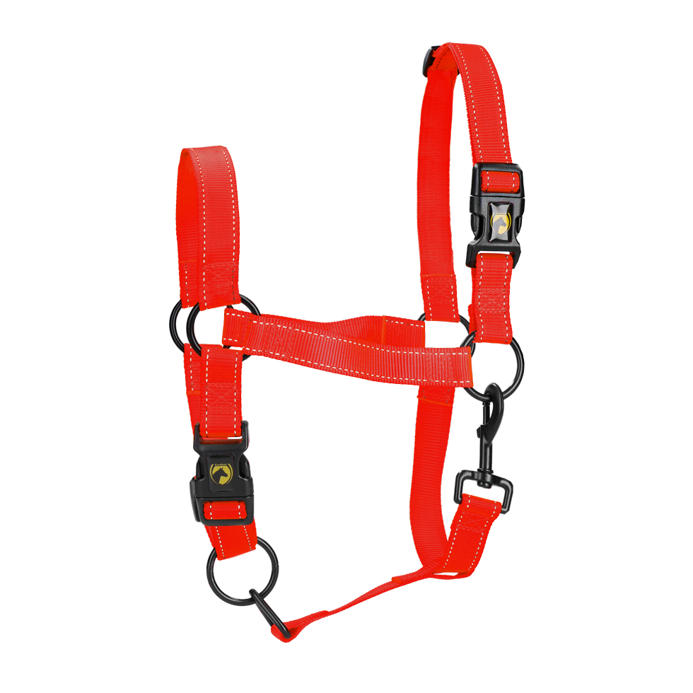 Excellent Premium Halfter Rot M