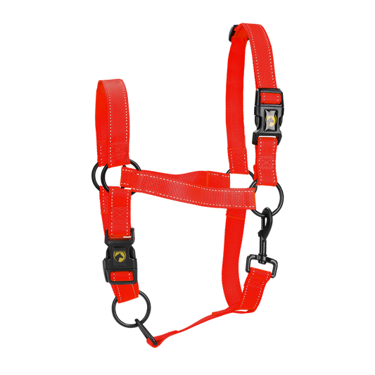 Excellent Premium Halfter Rot M