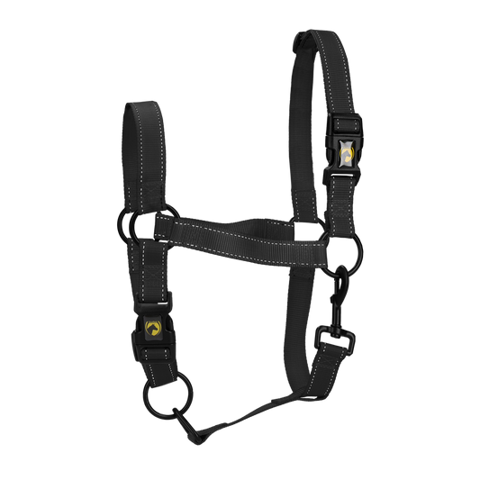 Excellent Premium Halfter Schwarz M
