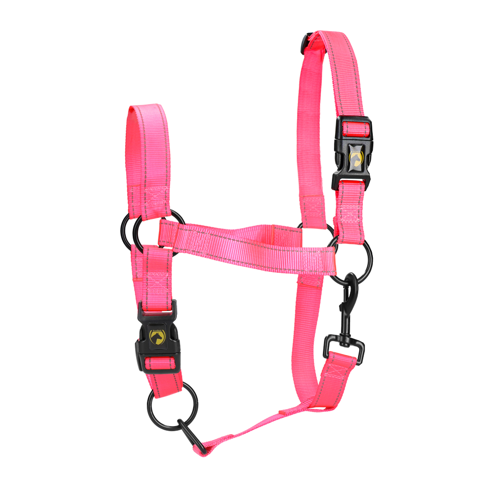 Excellent Premium Halfter Rosa M