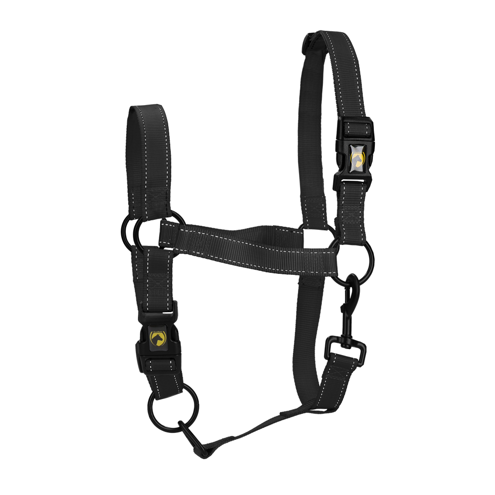 Excellent Premium Halfter Schwarz L