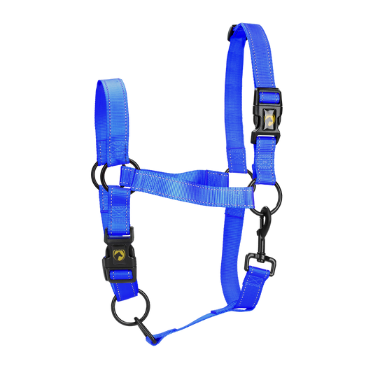 Excellent Premium Halfter Blau XL