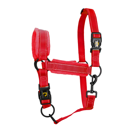 Excellent Superior Halfter Rot XS