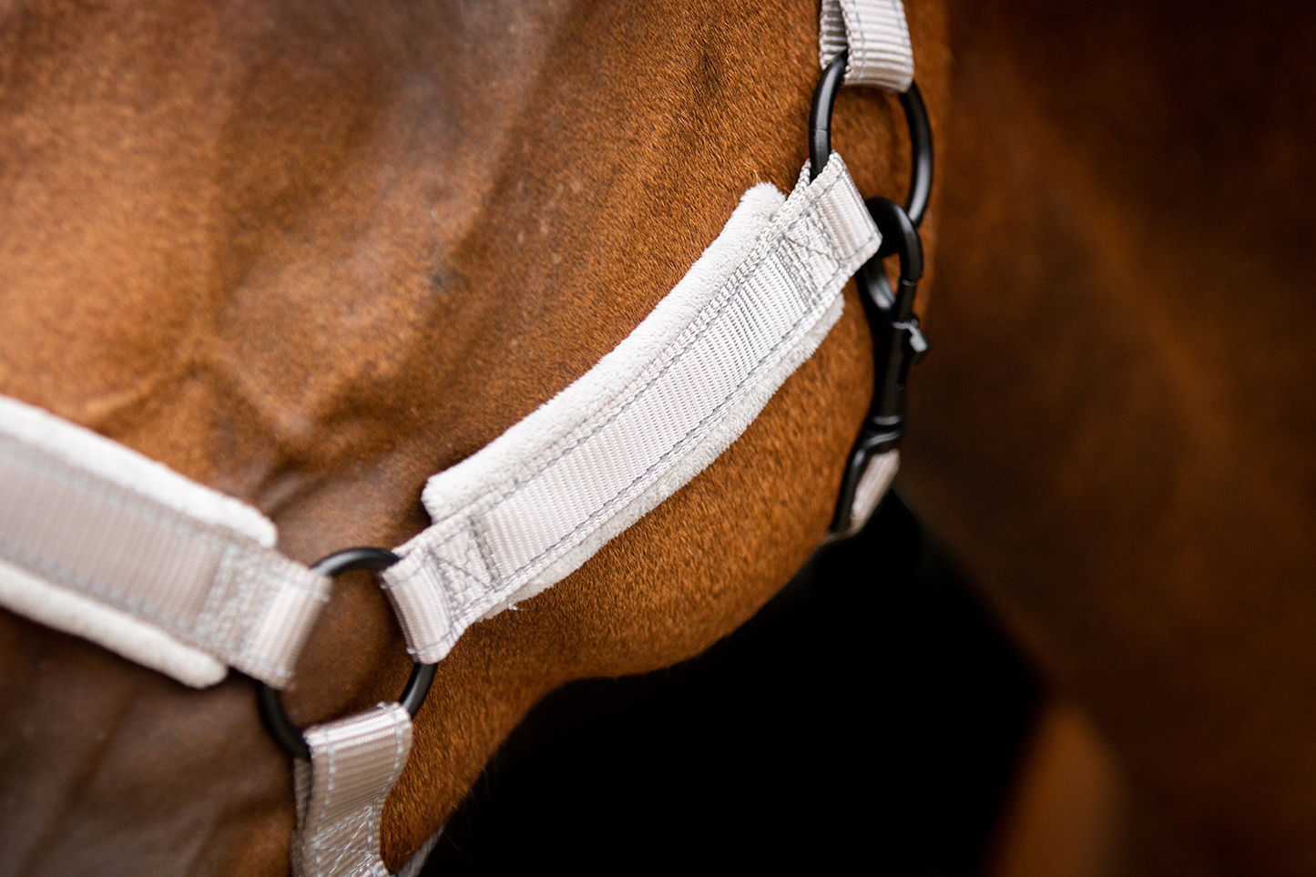 Excellent Superior Halfter Grau XS