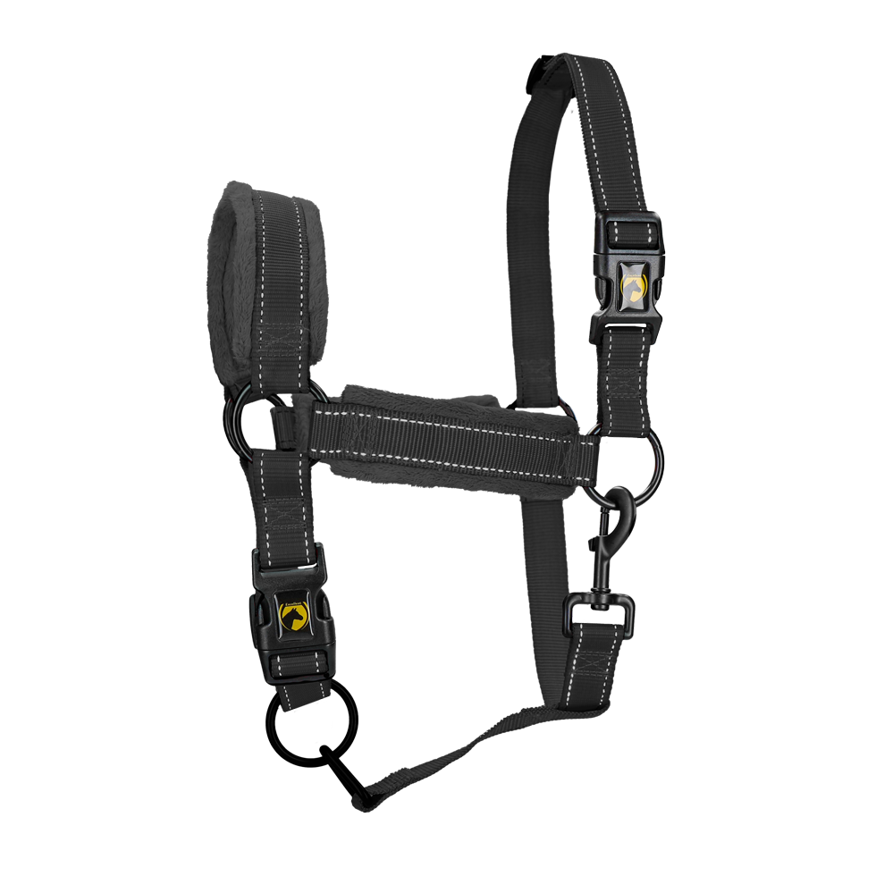Excellent Superior Halfter Schwarz S