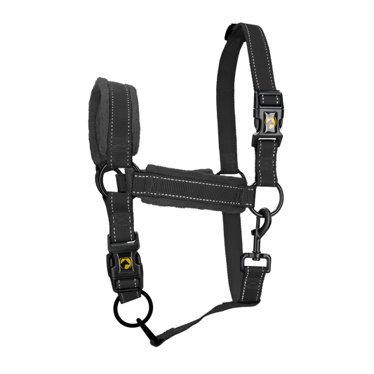 Excellent Superior Halfter Schwarz S