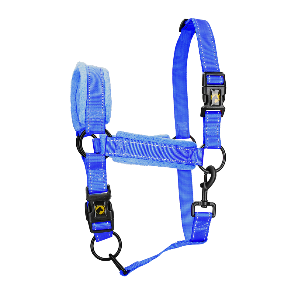 Excellent Superior Halfter Blau L