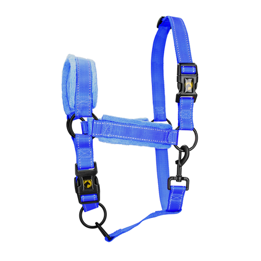 Excellent Superior Halfter Blau L