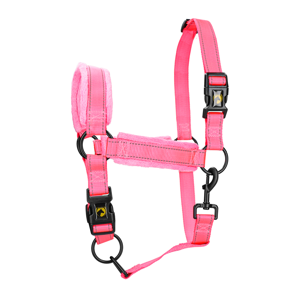 Excellent Superior Halfter Rosa XL