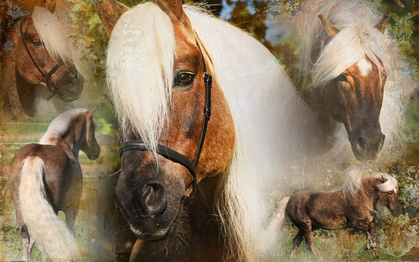 Excellent Horse Hi Gloss Spray 500 ml