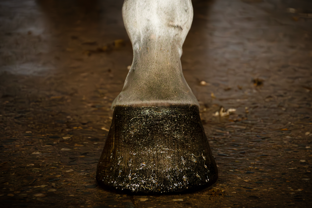 Excellent Horse Hi Gloss Glitter Hoof Polish Gold 150 ml