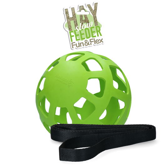 Hay Slow Feeder Fun & Flex Grün