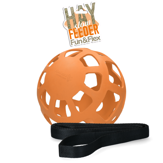 Hay Slow Feeder Fun & Flex Orange