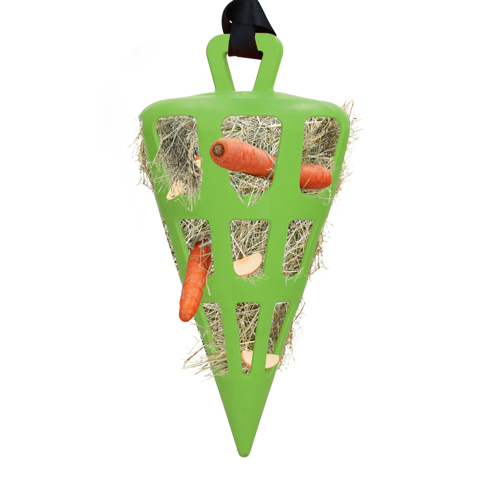 Hay Slow Feeder Fun & Flex Carrot Grün