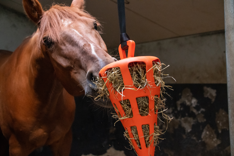 Hay Slow Feeder Fun & Flex Carrot Orange