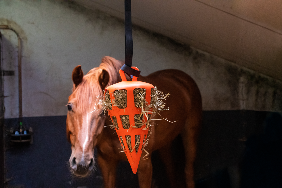 Hay Slow Feeder Fun & Flex Carrot Orange