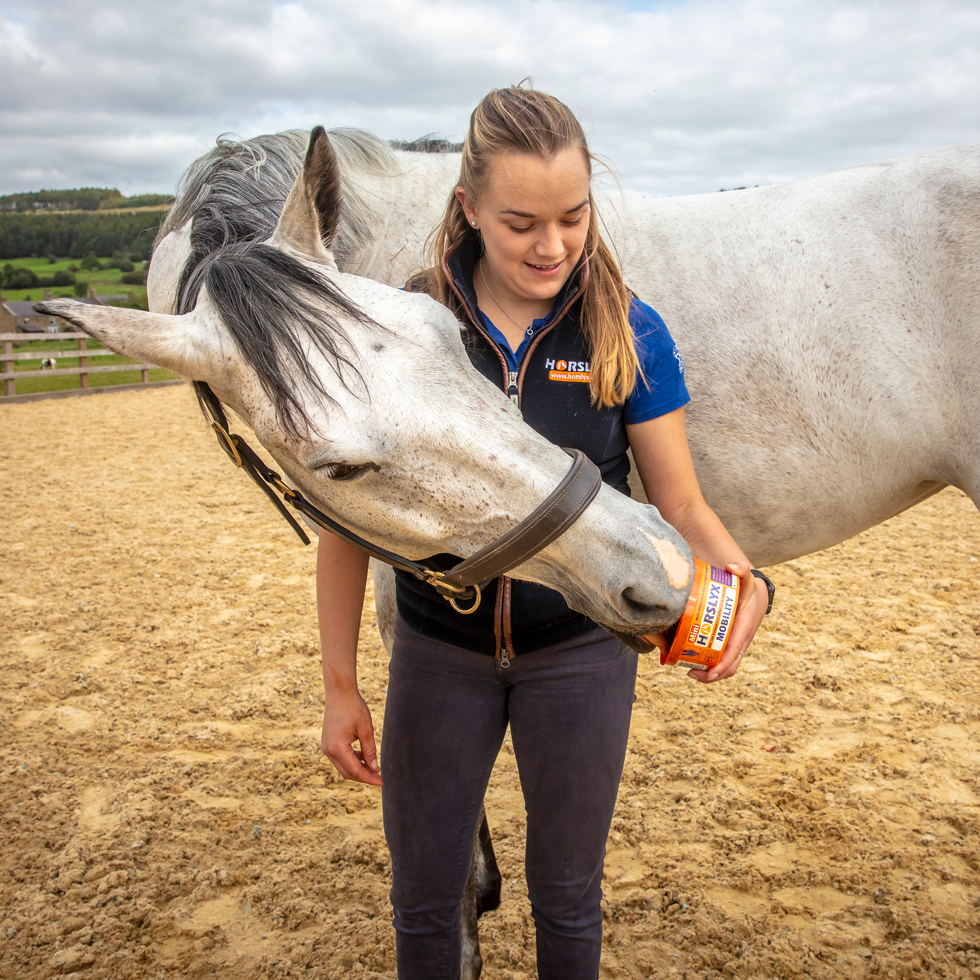 Horslyx Mini Mobilität