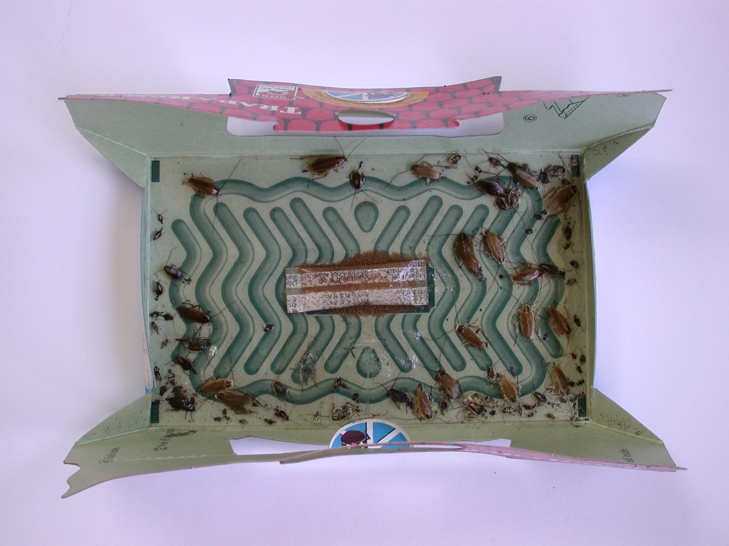 HoyHoy Trap-A-Roach 5-Pack