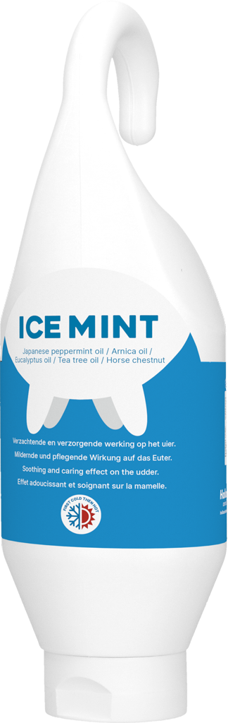 Ice Mint Gel steh und hangeflasche 500 ml