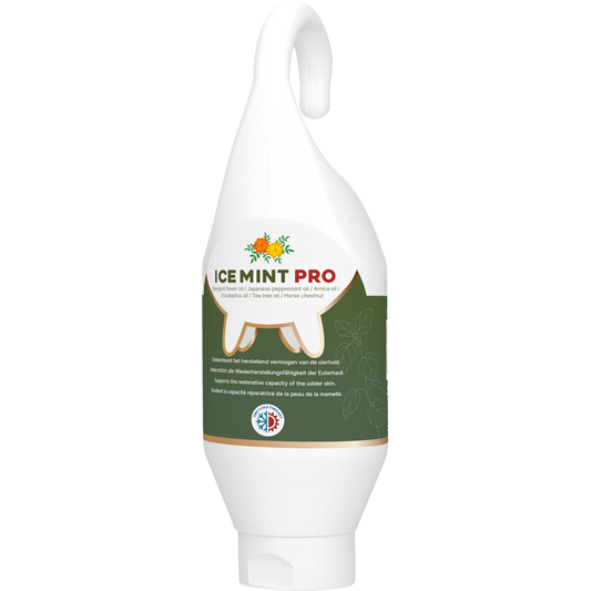Ice Mint Pro Gel Steh- u. Hängeflasche 500 ml
