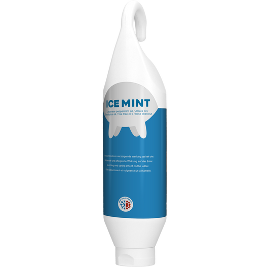 Ice Mint Gel Steh und hangeflasche 1 l