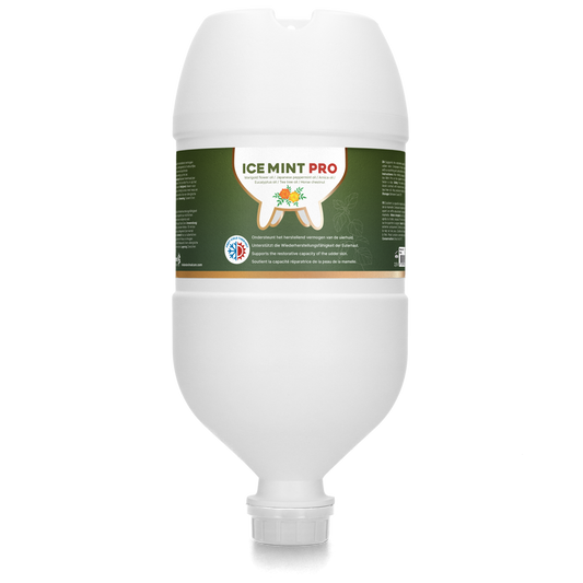 Ice Mint Pro Gel Hängeflasche 2,5 l