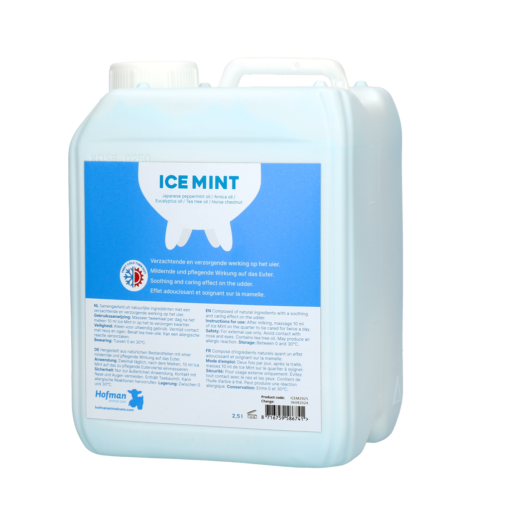 Ice Mint Gel 2,5 l mit Dosierpumpe