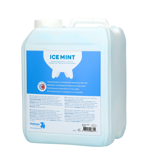 Ice Mint Gel 2,5 l mit Dosierpumpe