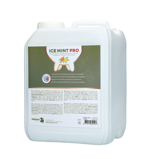 Ice Mint Pro Gel 2,5 l mit Dosierpumpe