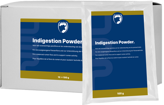 Excellent Indigestion Pulver 10 x 100 g