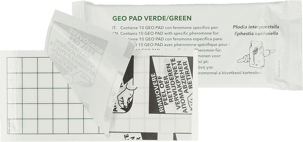 Geo Klebeplatte Lebenmittelmotten