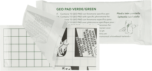 Geo Klebeplatte Lebenmittelmotten