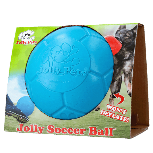 Jolly Soccer Ball Hellblau L (20 cm)