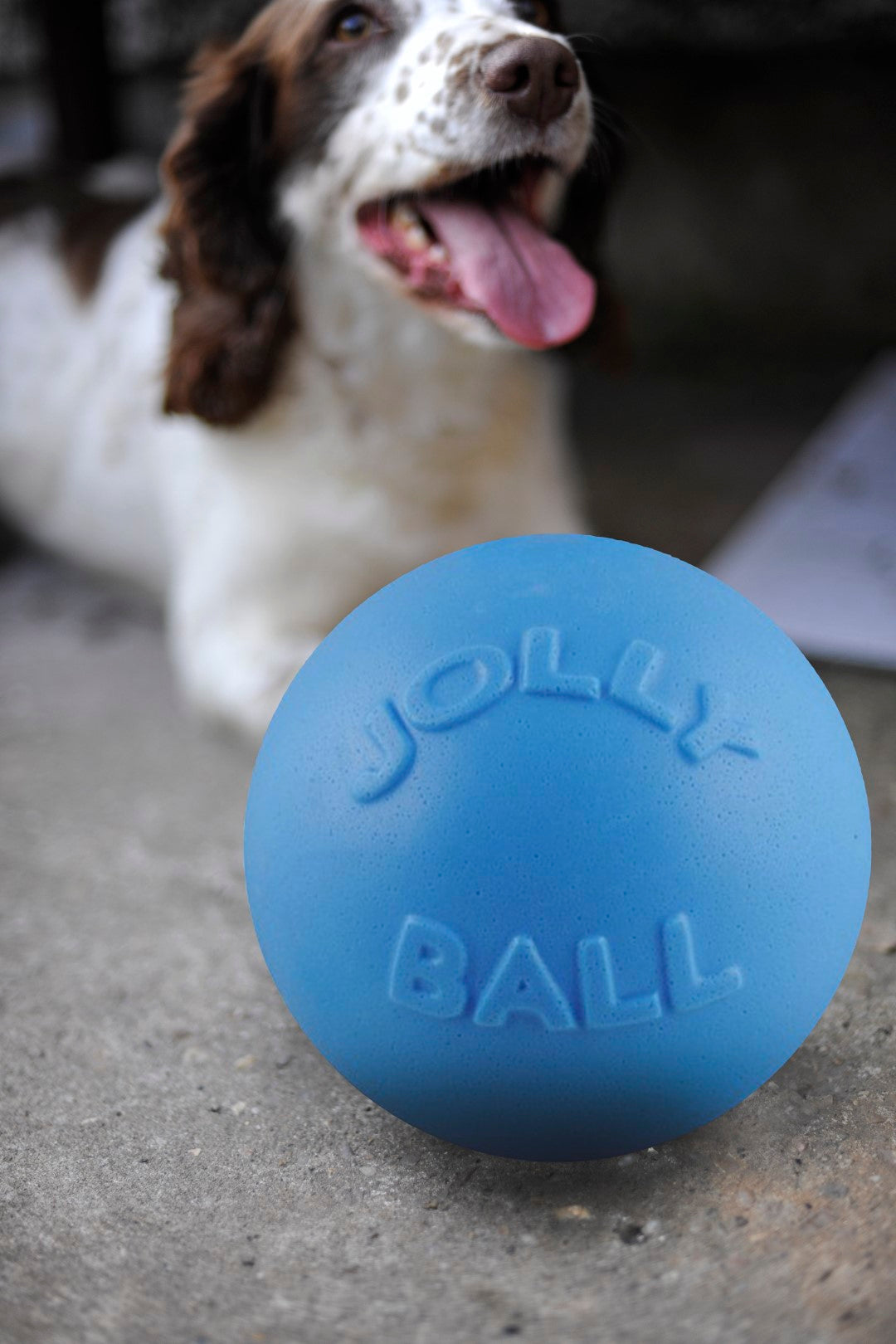 Jolly Bounce-n Play Heidelbeere L (20 cm)